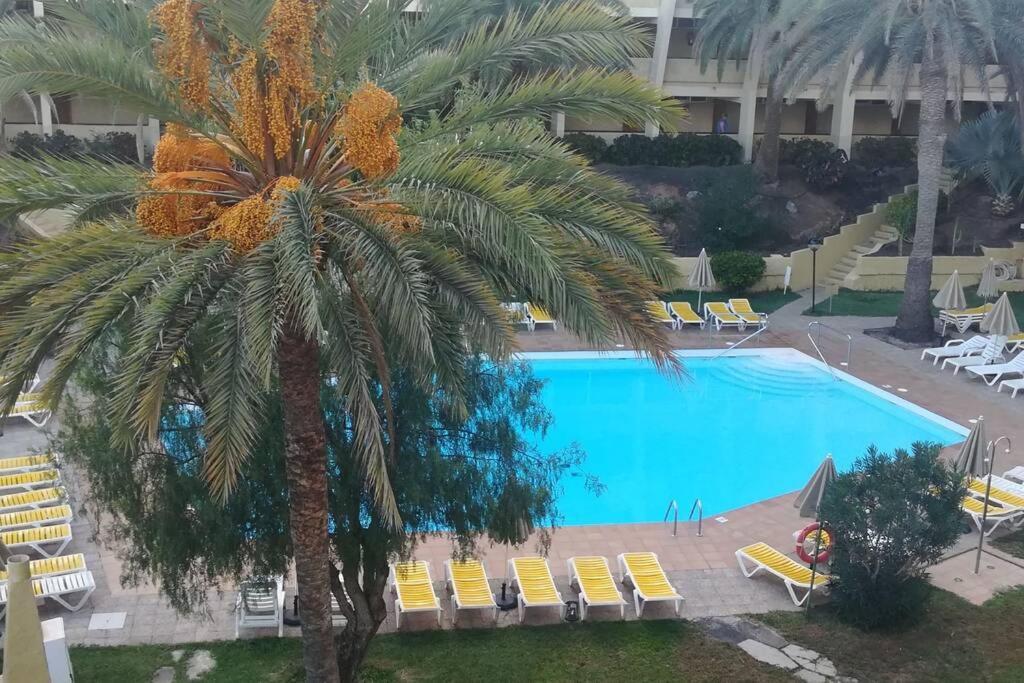 Maspalomas Sandy Beach Apartment 普拉亚戴尔雷安格莱斯 外观 照片